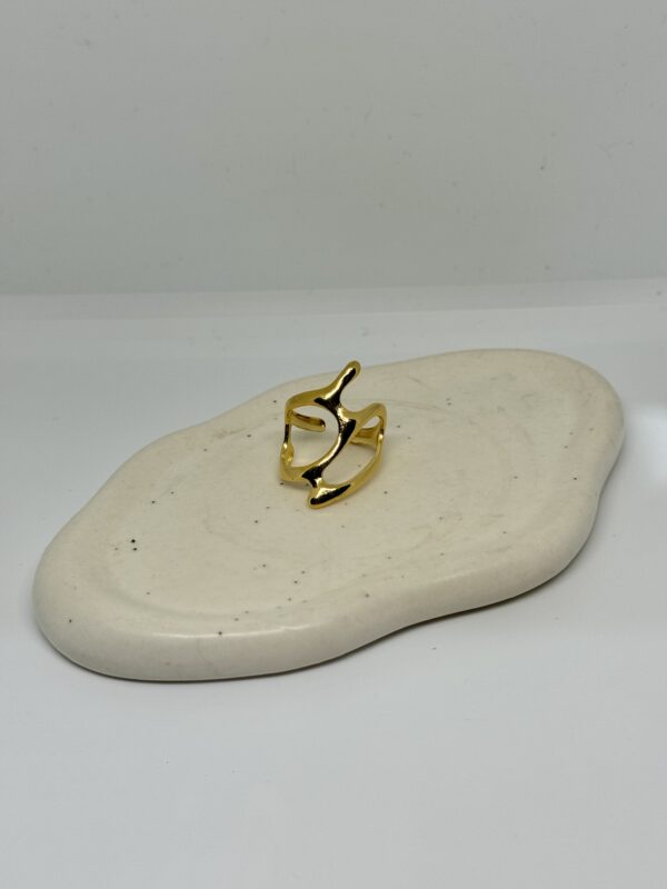 CHAOS RING